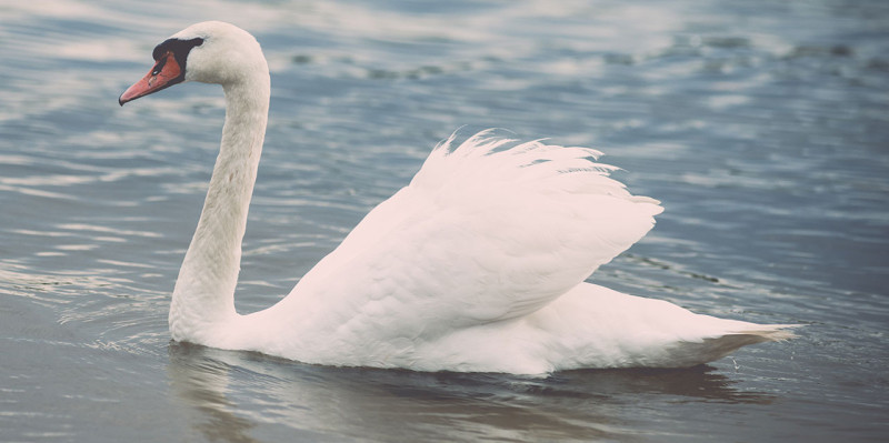 Lesson at the German language school in Biel-Bienne